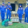 Ledakan di Laut Buer, Sat Polairud Sumbawa Temukan Bom Ikan dan Hasil Tangkapan